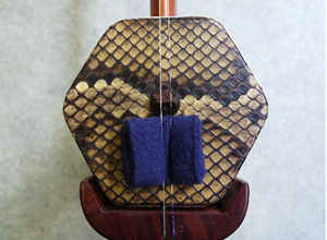 王小廸　二胡弓　紅竹 送料無料！＞ 王小迪製 二胡弓（紅竹オス馬尾毛） 〔本数限定