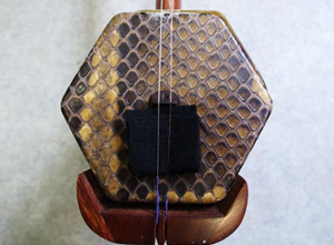 美品】二胡 花梨 本蛇皮 弓付き ケース付き 美品】二胡 花梨 本